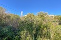 Урбанизированный земельный участок 1273 м2 в Сутоморе, район Заградже.