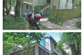 Двухэтажный дом в буковой роще в Сутоморе