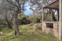 Недостроенный небольшой дом с участком с вековыми маслинами в Шушани, Бар