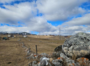 Предлагается к продаже ровный земельный участок в Ковачка Долина, Жабляк.