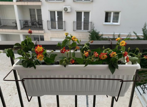 Продаётся уютная и функциональная квартира в  Будве, Лази, рядом с магазином HDL.