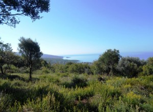 Участок земли в Добрых Водах с панорамным видом на море.