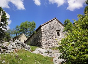 Старый каменный дом в Негуши.