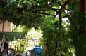 Дом в Шушани в окружении инжировых деревьев