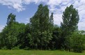 Большой земельный участок с двумя домами в Даниловграде.
