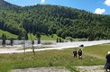 Земельный участок рядом с горнолыжным курортом Колашин, Jelovica