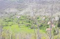 Просторный земельный участок в Черногории в районе Убли, Цетинье
