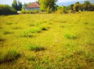 Земельный участок в поселке Ястреб, Даниловград - 16 500 евро