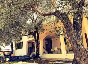Двухэтажный дом в маслиновой роще в Сутоморе.
